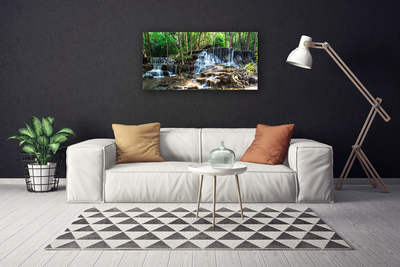 Quadro canvas Cachoeira Floresta Natureza