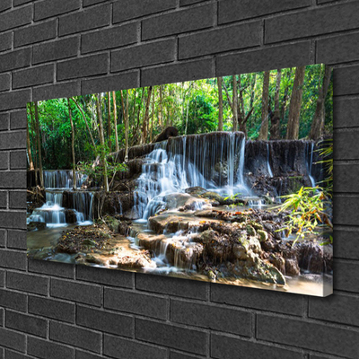 Quadro canvas Cachoeira Floresta Natureza