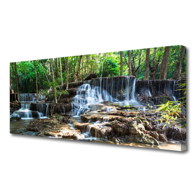Quadro canvas Cachoeira Floresta Natureza