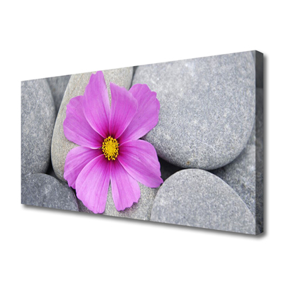 Quadro canvas Planta de spa de flores