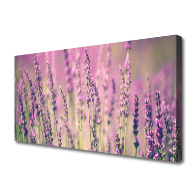 Quadro em tela Flores Planta Natureza