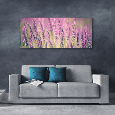 Quadro em tela Flores Planta Natureza