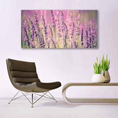 Quadro em tela Flores Planta Natureza