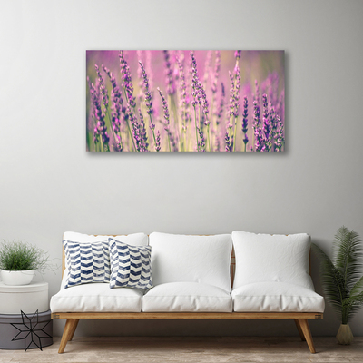 Quadro em tela Flores Planta Natureza