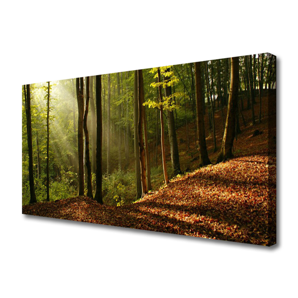 Quadro em tela Árvores da Floresta Natureza