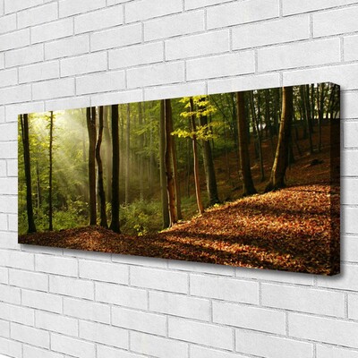 Quadro em tela Árvores da Floresta Natureza