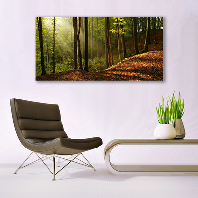 Quadro em tela Árvores da Floresta Natureza