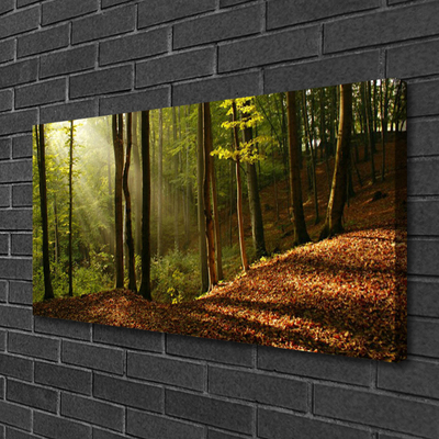 Quadro em tela Árvores da Floresta Natureza