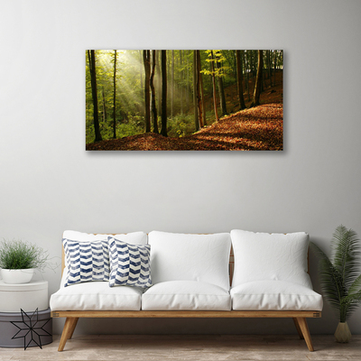 Quadro em tela Árvores da Floresta Natureza