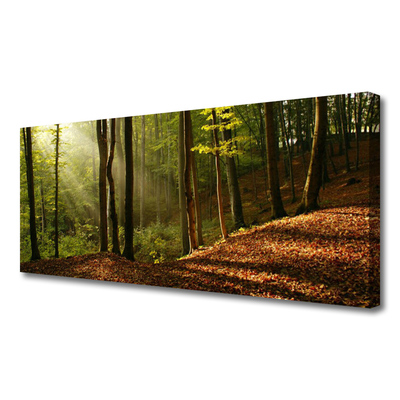 Quadro em tela Árvores da Floresta Natureza