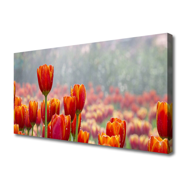 Quadro canvas Tulipas Flores Planta