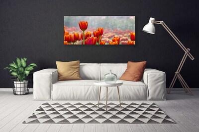 Quadro canvas Tulipas Flores Planta