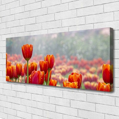 Quadro canvas Tulipas Flores Planta
