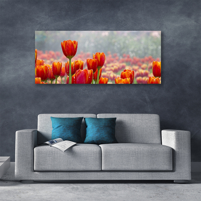 Quadro canvas Tulipas Flores Planta