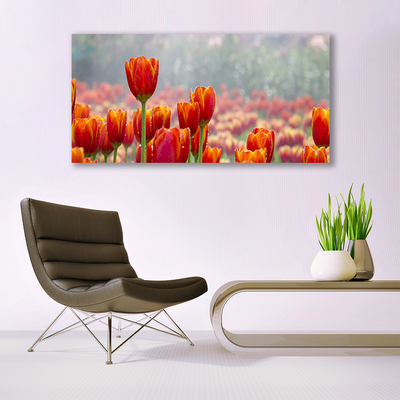 Quadro canvas Tulipas Flores Planta