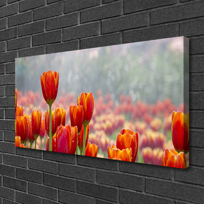 Quadro canvas Tulipas Flores Planta