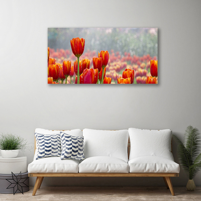 Quadro canvas Tulipas Flores Planta