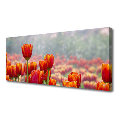 Quadro canvas Tulipas Flores Planta