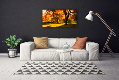 Quadro canvas Árvores Outono Natureza