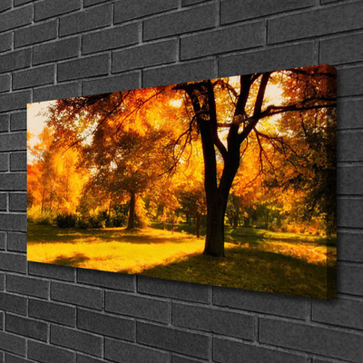 Quadro canvas Árvores Outono Natureza