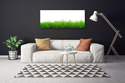Quadro em tela Natureza da planta grama