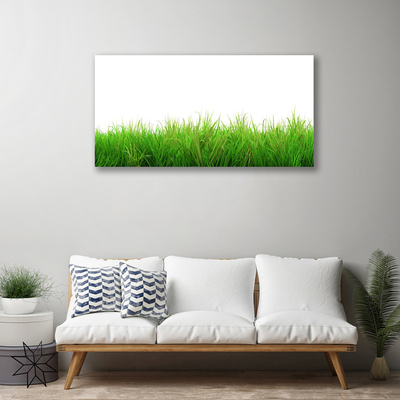 Quadro em tela Natureza da planta grama