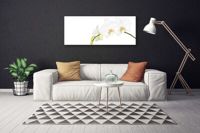 Quadro canvas Flores Planta Natureza