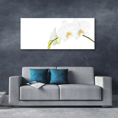Quadro canvas Flores Planta Natureza