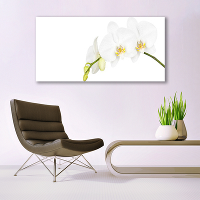 Quadro canvas Flores Planta Natureza