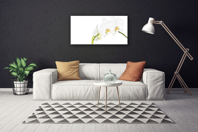 Quadro canvas Flores Planta Natureza