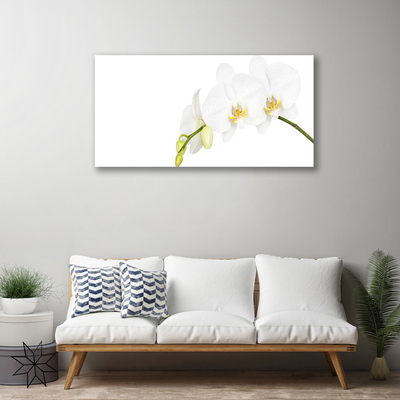 Quadro canvas Flores Planta Natureza