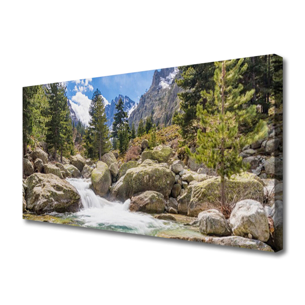 Quadro canvas Rio Pedras da Floresta da Montanha