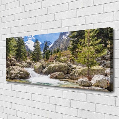 Quadro canvas Rio Pedras da Floresta da Montanha