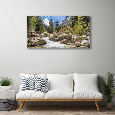Quadro canvas Rio Pedras da Floresta da Montanha