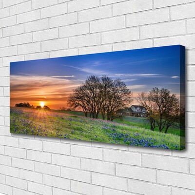 Quadro em tela Paisagem do Sol do Prado