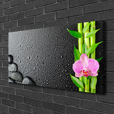 Quadro canvas Planta de flor de caule de bambu