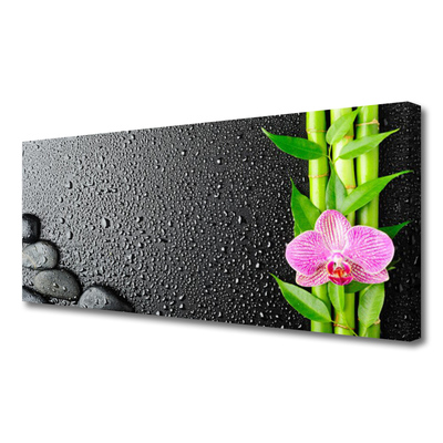 Quadro canvas Planta de flor de caule de bambu