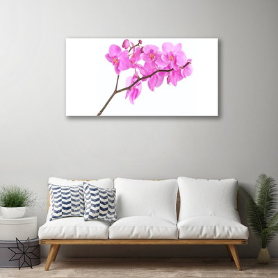 Quadro em tela Flores Planta Natureza