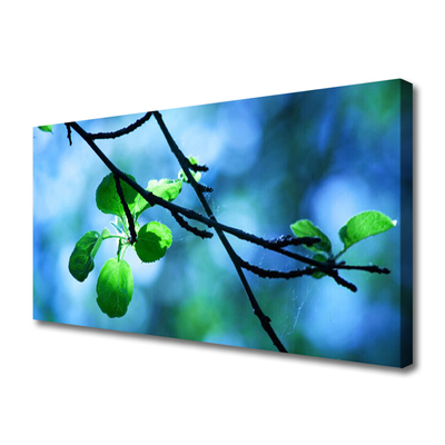 Quadro canvas Ramo Folhas Planta Natureza