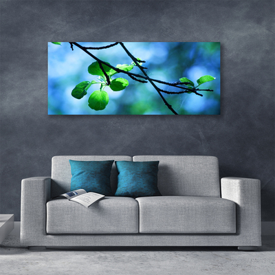 Quadro canvas Ramo Folhas Planta Natureza