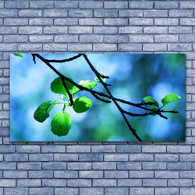 Quadro canvas Ramo Folhas Planta Natureza