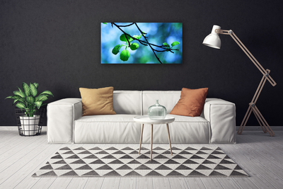 Quadro canvas Ramo Folhas Planta Natureza