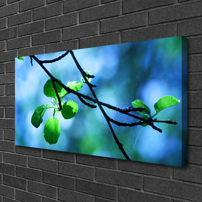 Quadro canvas Ramo Folhas Planta Natureza