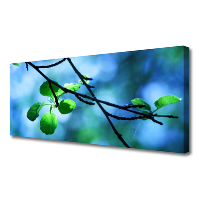 Quadro canvas Ramo Folhas Planta Natureza