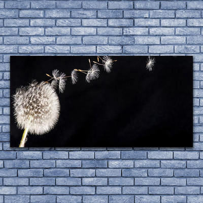 Quadro em tela Planta de flor dente-de-leão