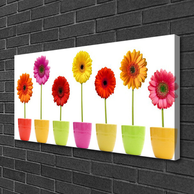 Quadro canvas Flores Planta Natureza