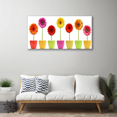Quadro canvas Flores Planta Natureza