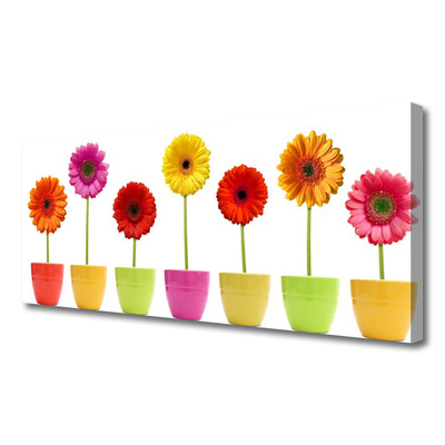 Quadro canvas Flores Planta Natureza