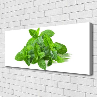 Quadro canvas Planta de Hortelã Natureza