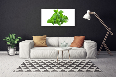 Quadro canvas Planta de Hortelã Natureza